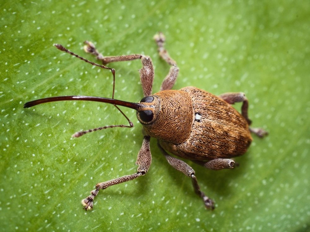 Photograph by Roman Chudaš