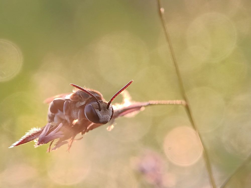 Photograph by Zaki Purnomo