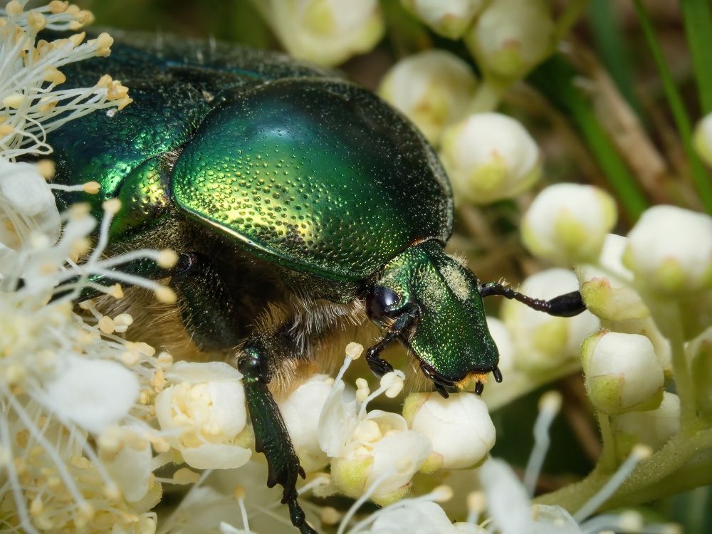 Photograph by Roman Chudaš