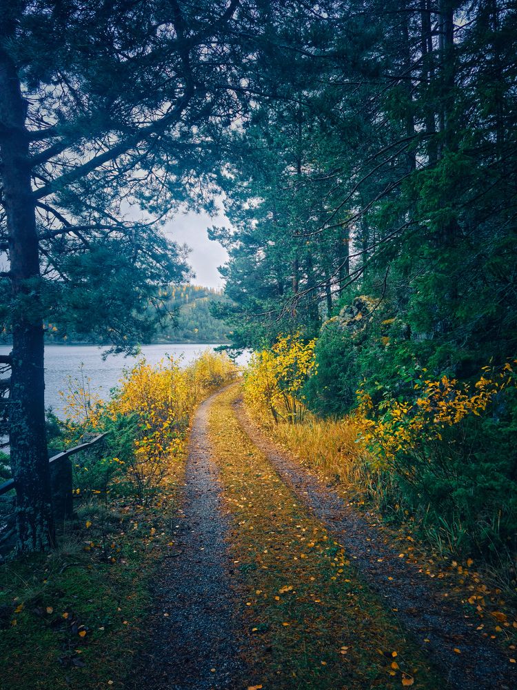 Photograph by Farah Ali