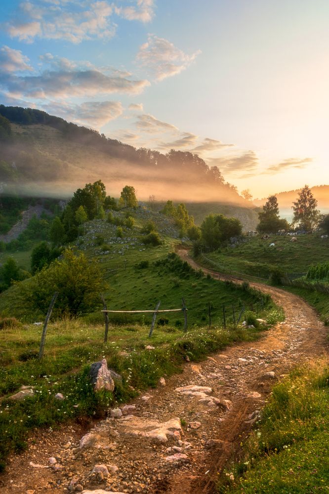 Photograph by Ioana Crisan