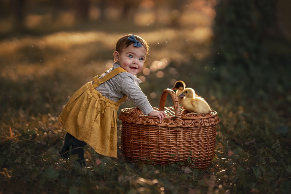 Photograph by Amalia Zilio