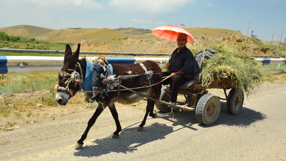 Фотография автора Николай Пугаев