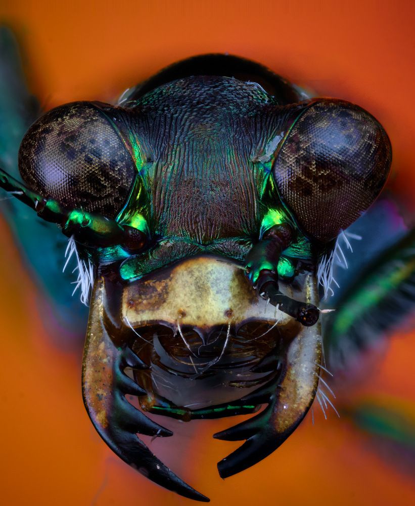 Photograph by sergio acevedo