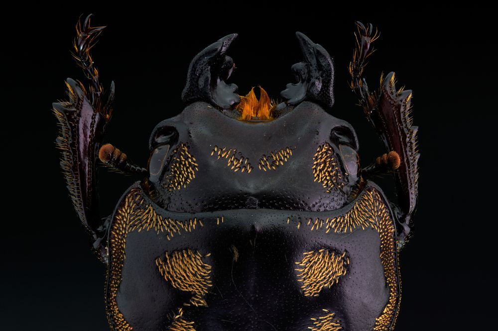 Photograph by sergio acevedo