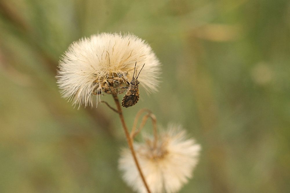 Photograph by Марго Лимп