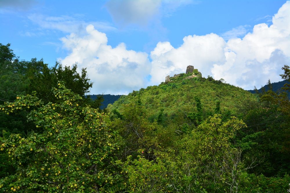 Photograph by Shota Gogoli