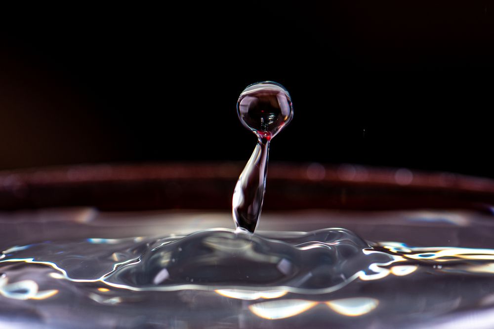 Фотография автора Дмитрий Дроздов