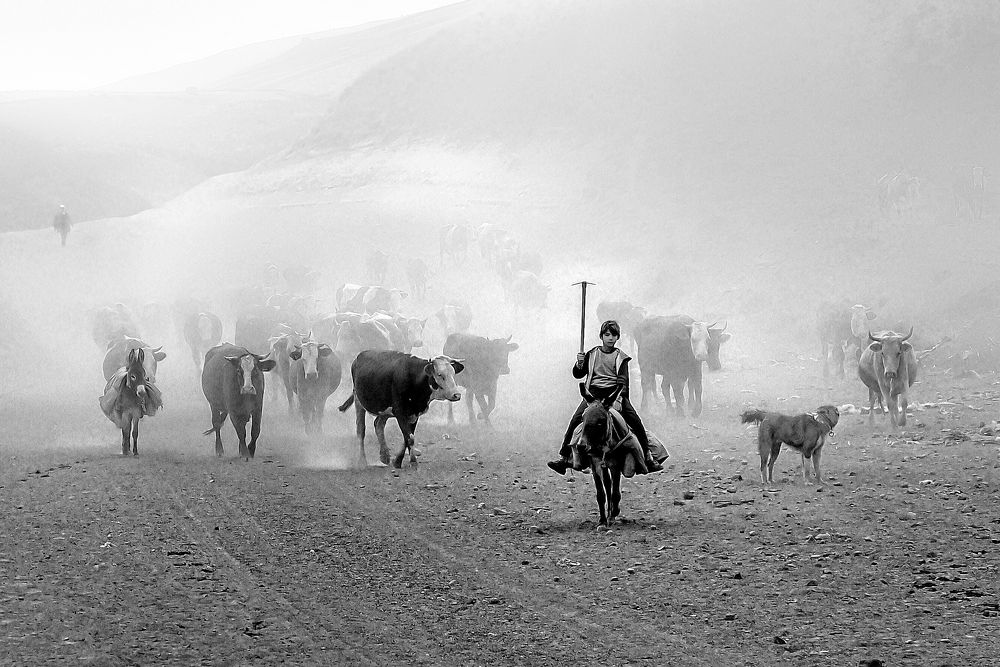 Photograph by Omer Acar