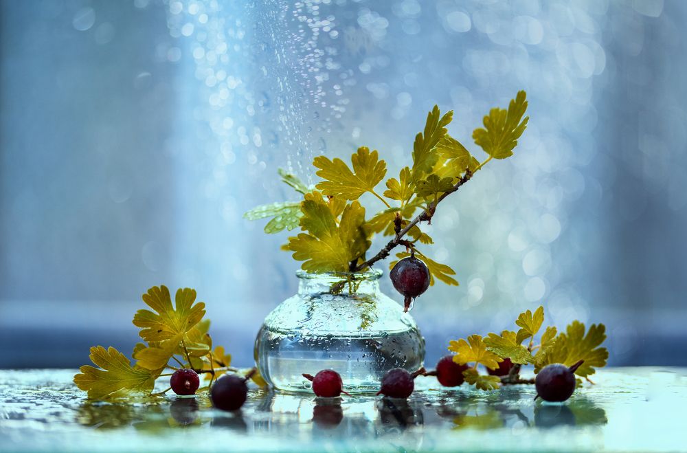 Photograph by Nikolina Georgieva