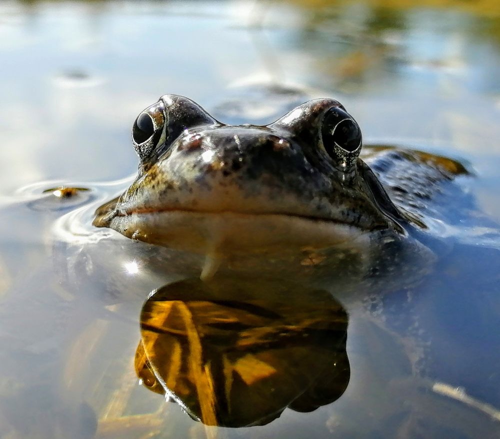 Photograph by Виктор Шубин