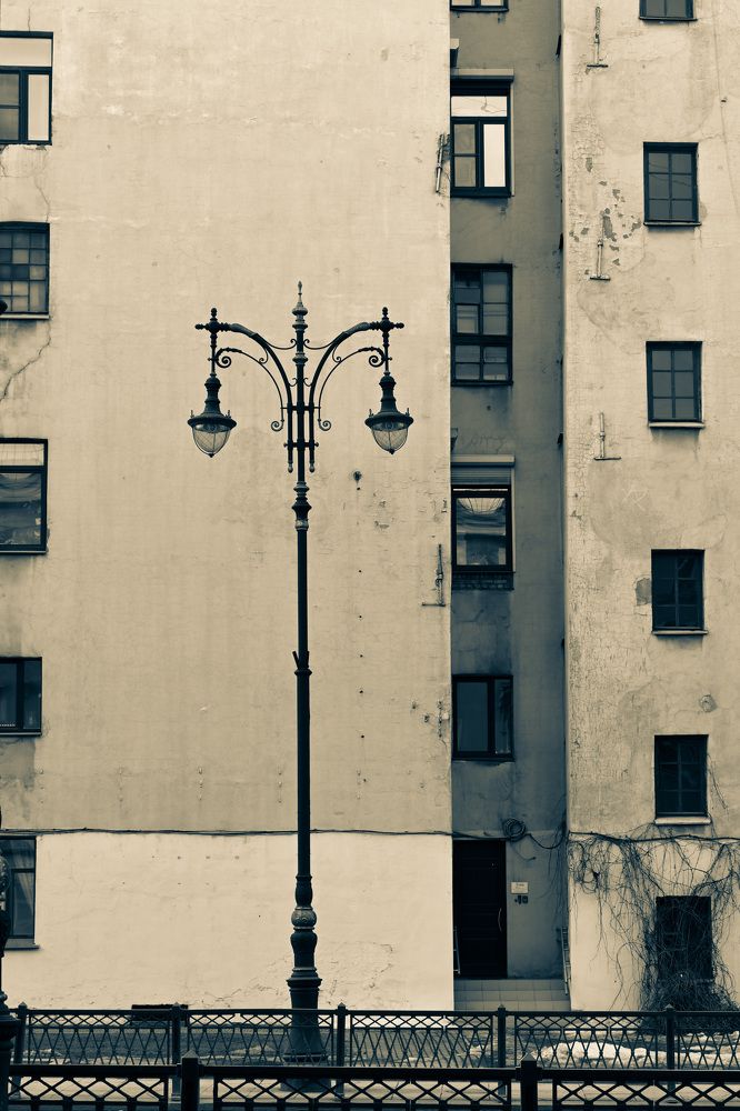 Фотография автора Larisa Meshkova