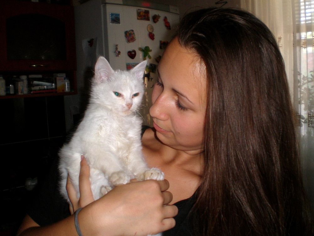 Photograph by Татьяна Пальчикова