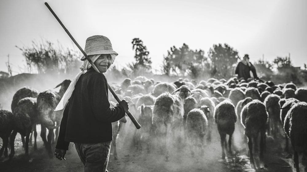 Photograph by Hesham Fathy