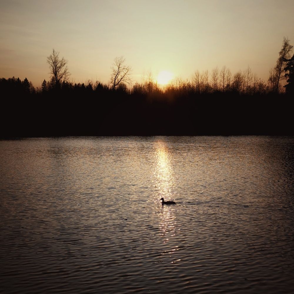 Photograph by Антон Варламов