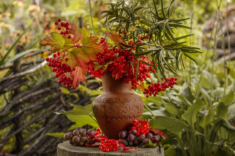 Photograph by Надежда Ржевская