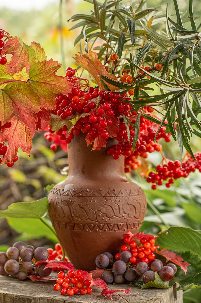 Photograph by Надежда Ржевская