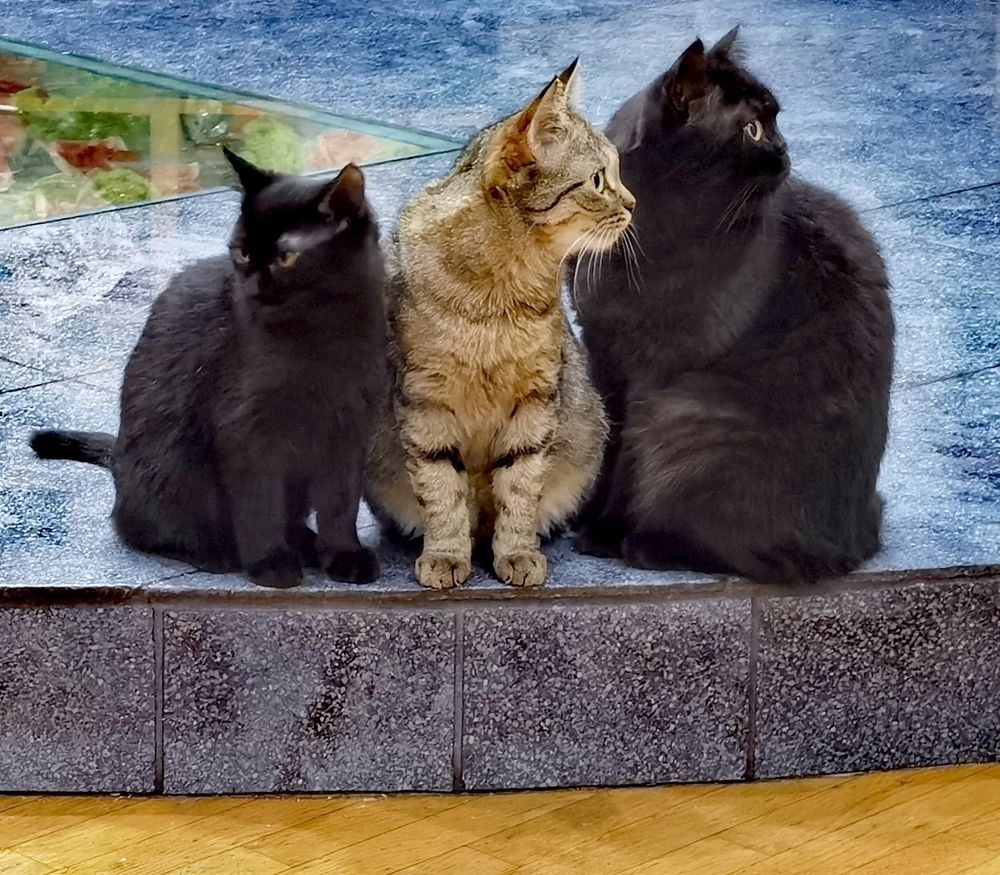 Photograph by Олеся Ивановна Жанько