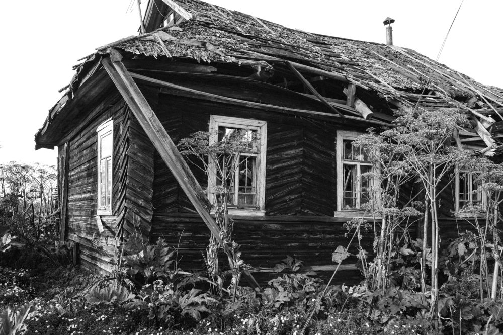 Photograph by Agnaeva Anastasia