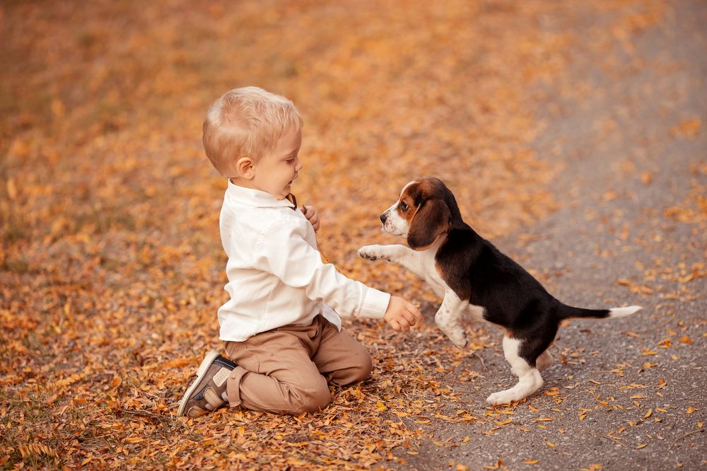 Photograph by Алина Кочергина