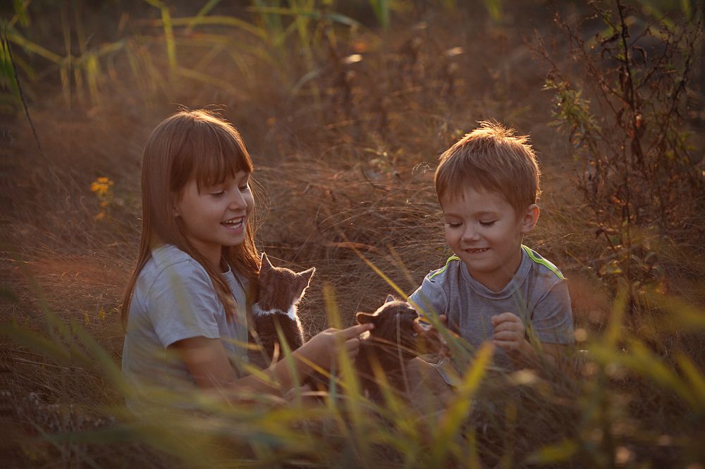 Photograph by Алина Кочергина