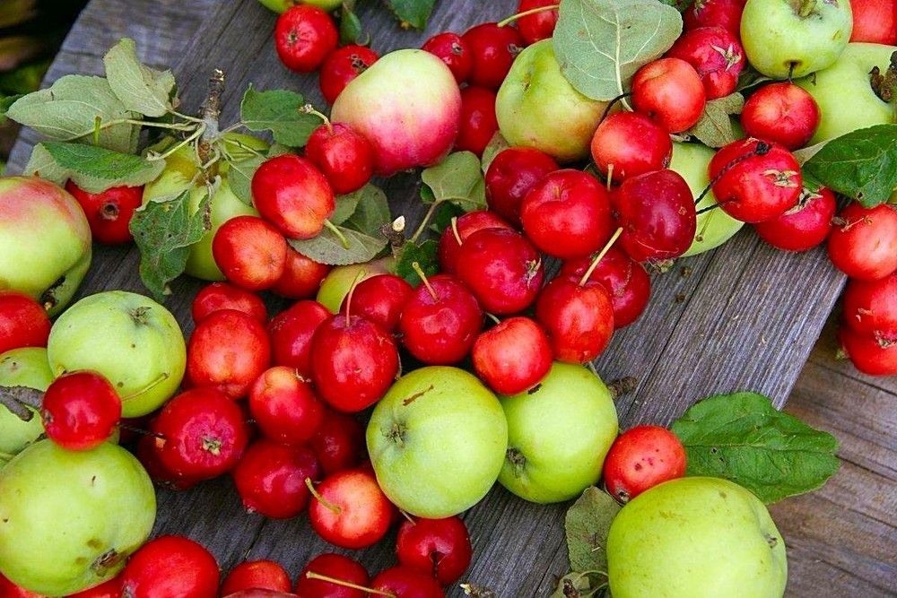 Photograph by Татьяна Котельникова