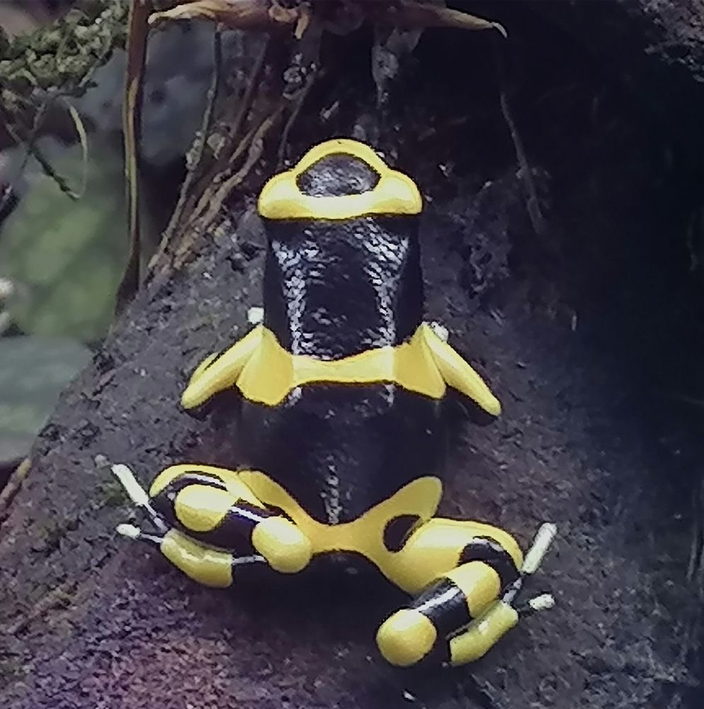 Photograph by Anja kroes