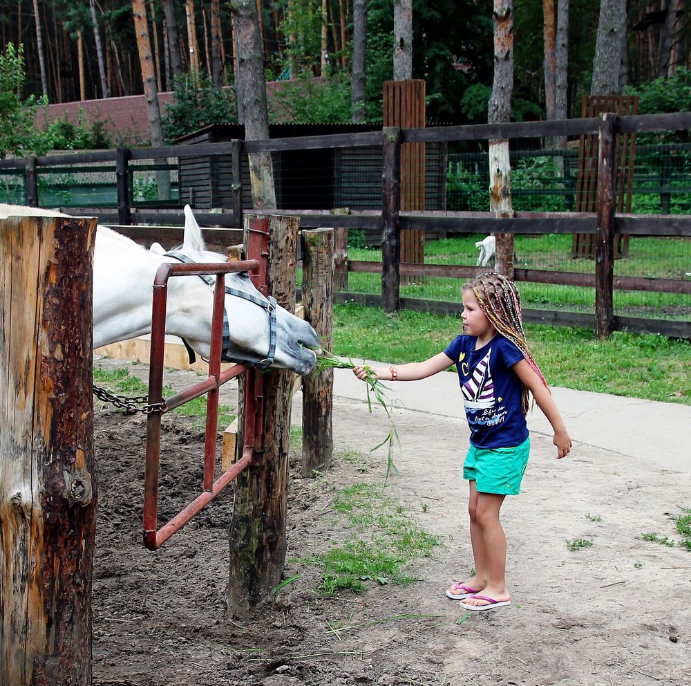 Photograph by Александр Бугаенко