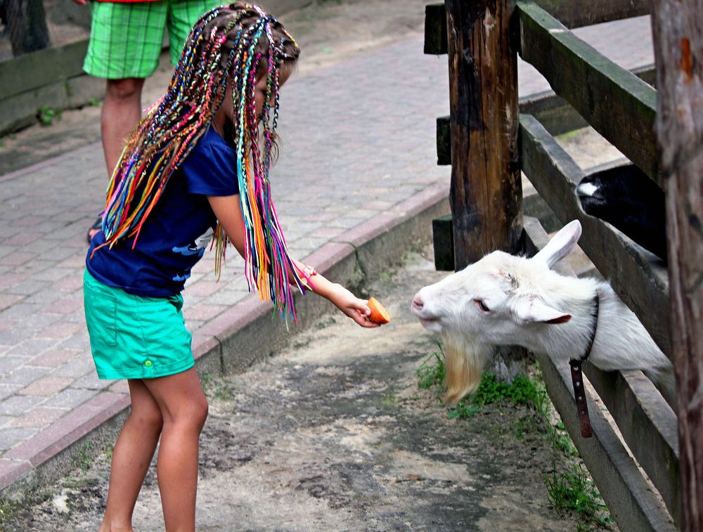 Photograph by Александр Бугаенко