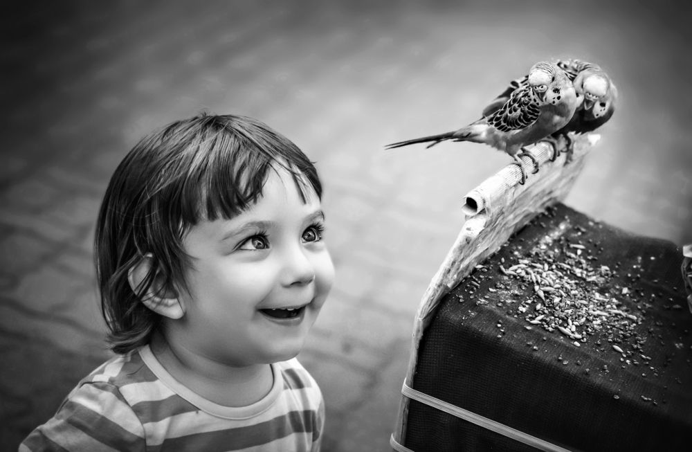 Photograph by Ольга Шацкая