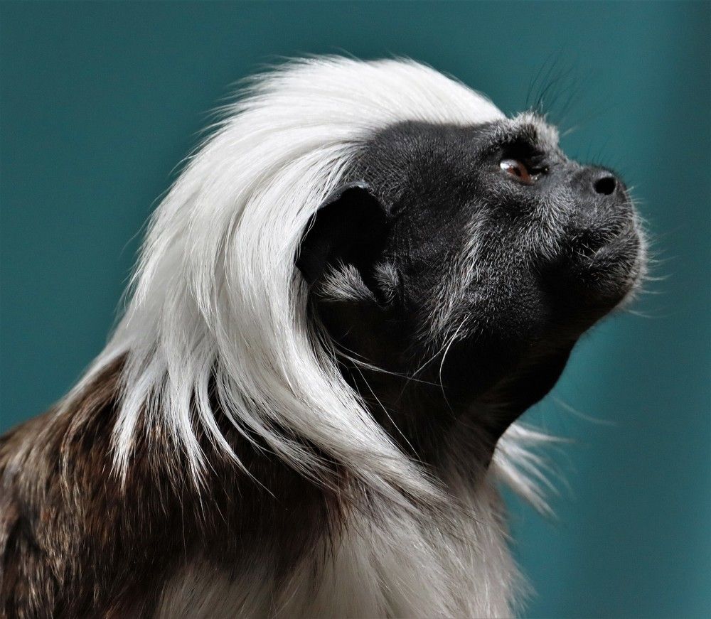 Photograph by Anja kroes