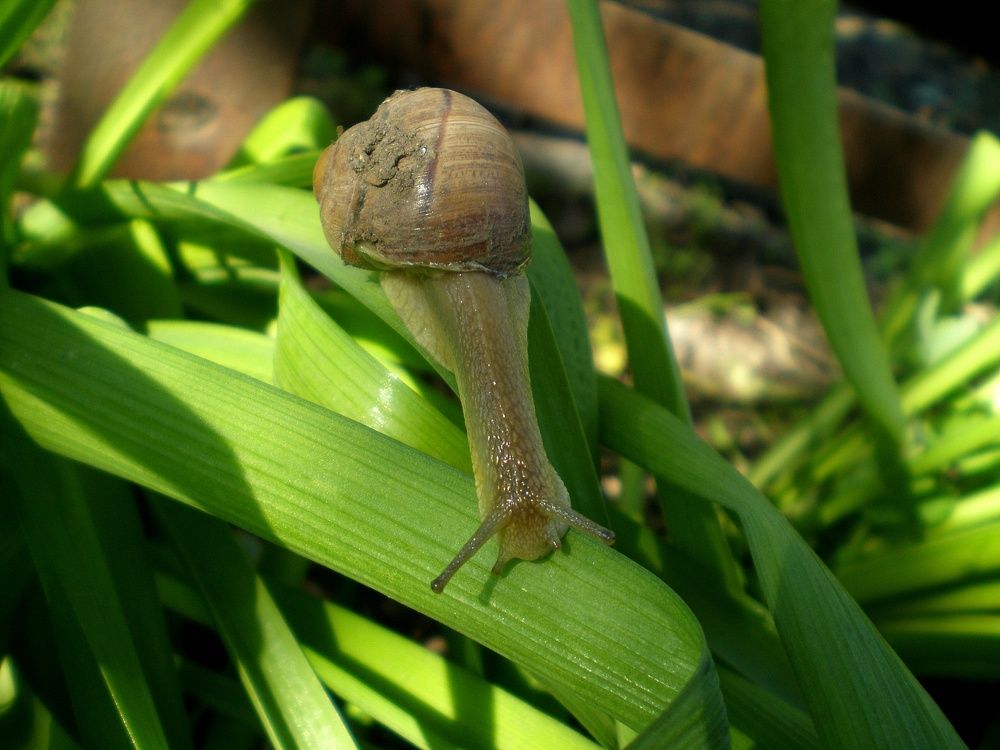 Photograph by Татьяна Пальчикова