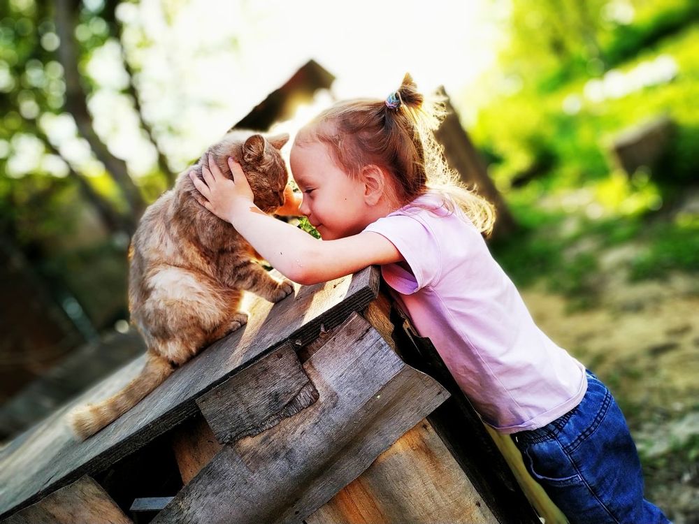 Photograph by Павел Зенков