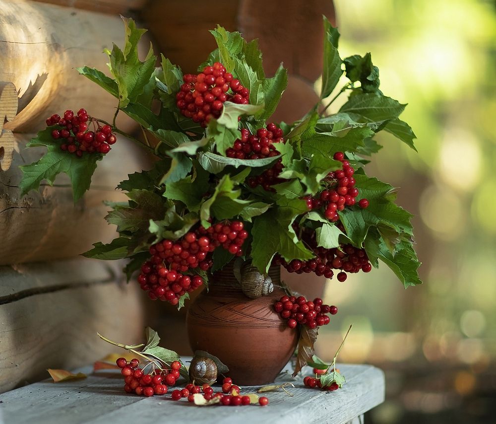 Осенние мотивы