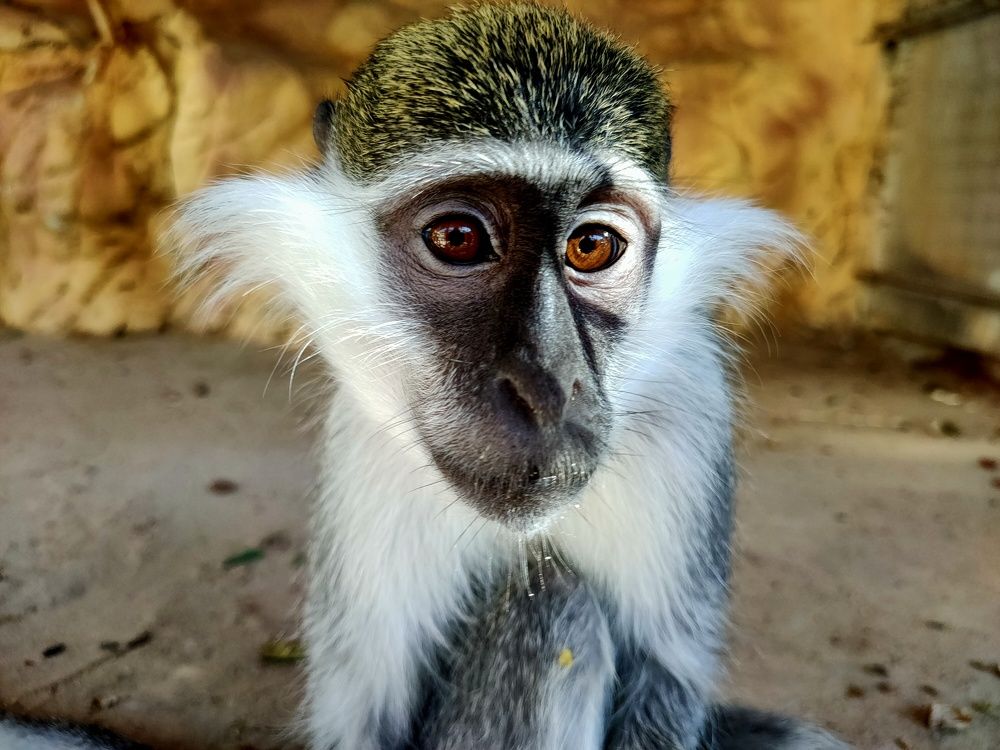 Photograph by OMAR Mourtagy Helal