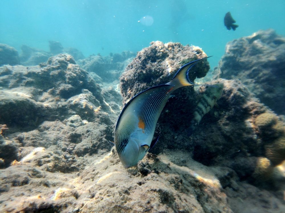 Photograph by OMAR Mourtagy Helal