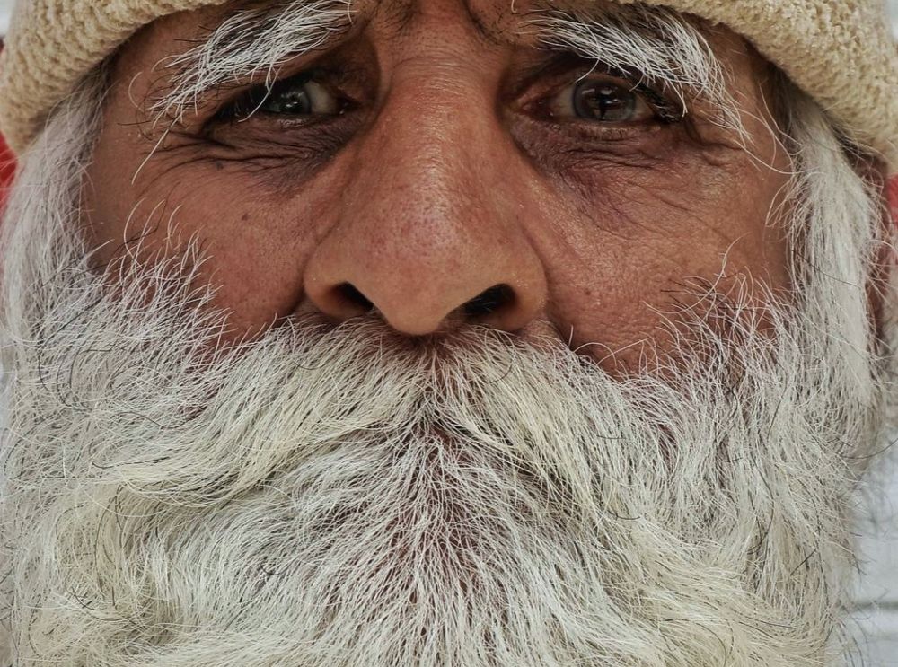 Photograph by samaneh jamali