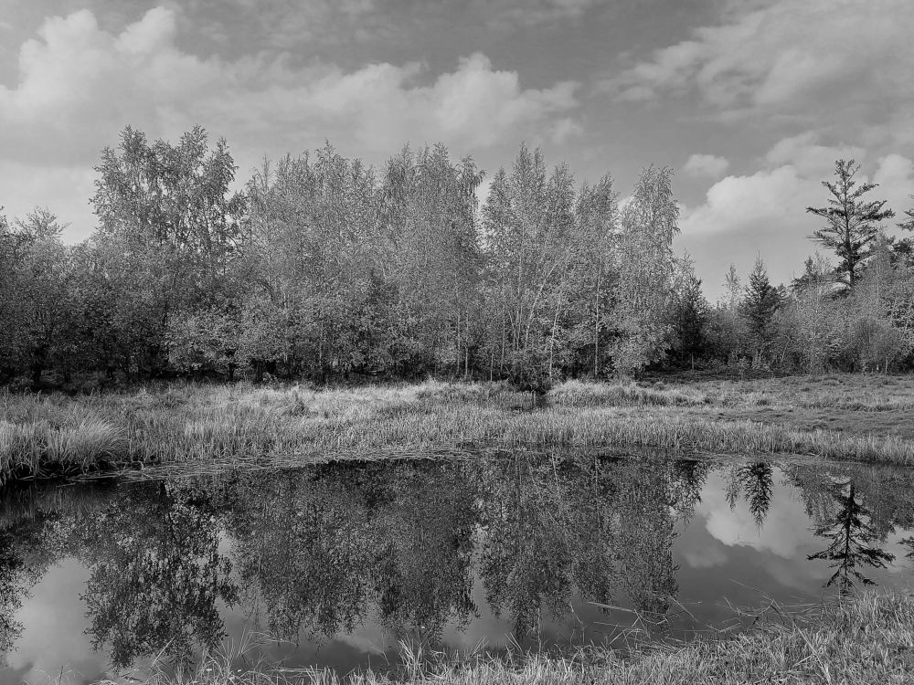 Фотография автора Петр Вензель