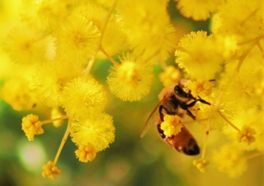 Photograph by Kirsteen Isles