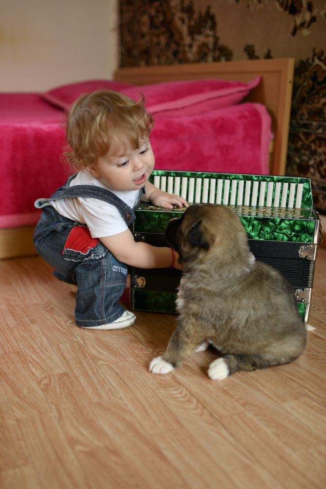 Фотография автора Владимир Кулаков