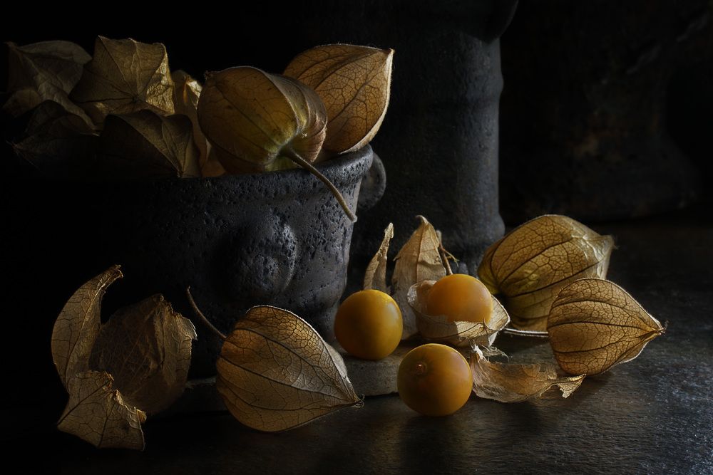 Photograph by Eduardo Modolo