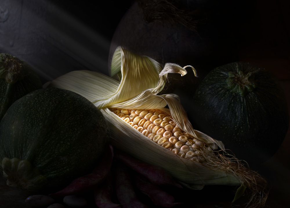 Photograph by Eduardo Modolo