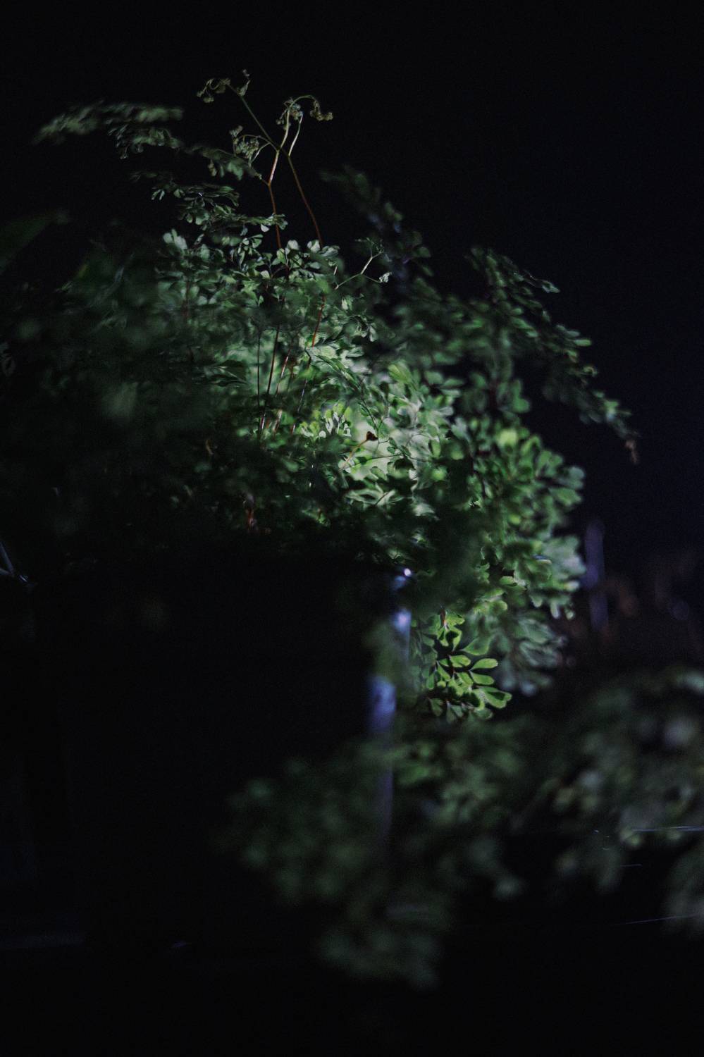 Photo #6441131