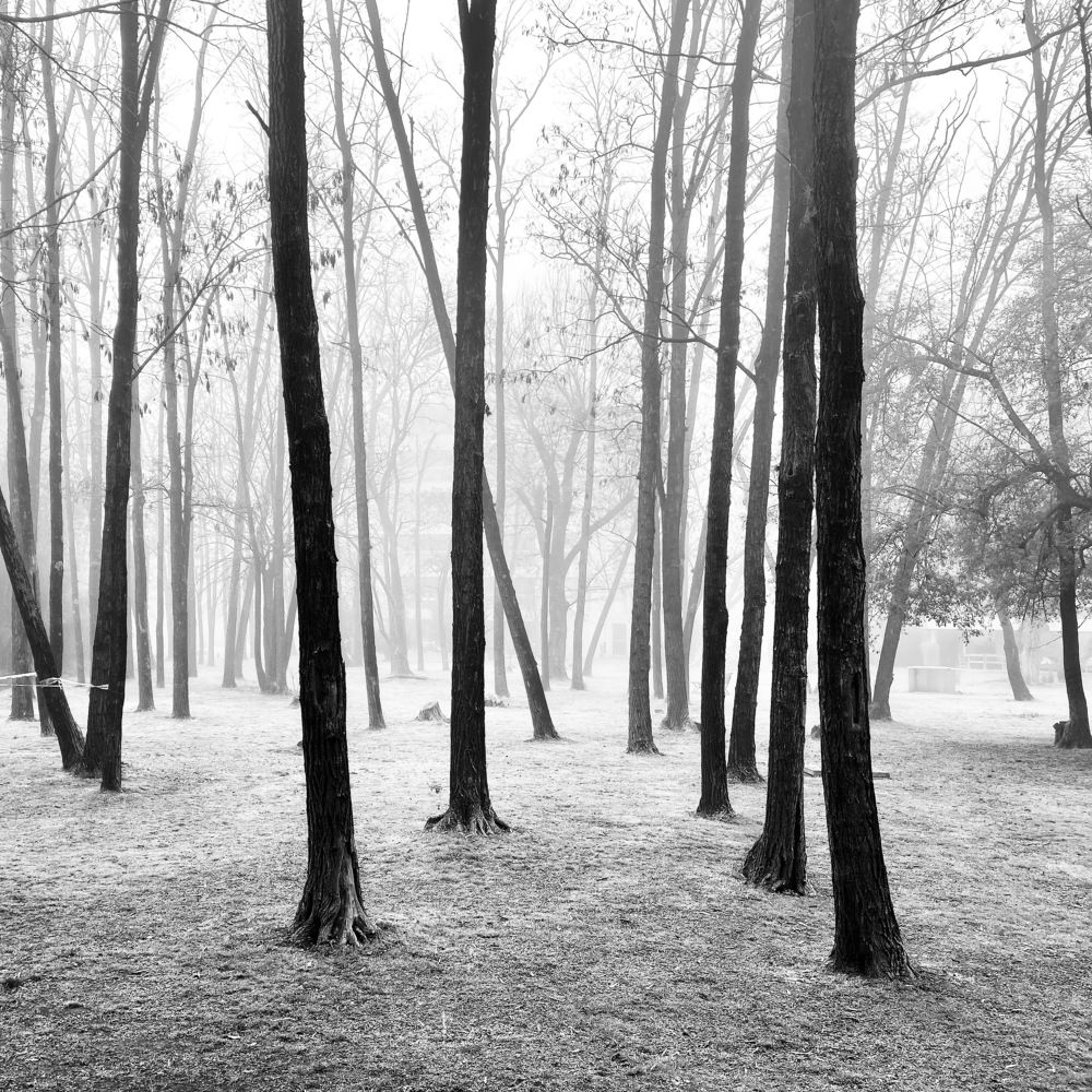 Photograph by Juan Pavlovsky