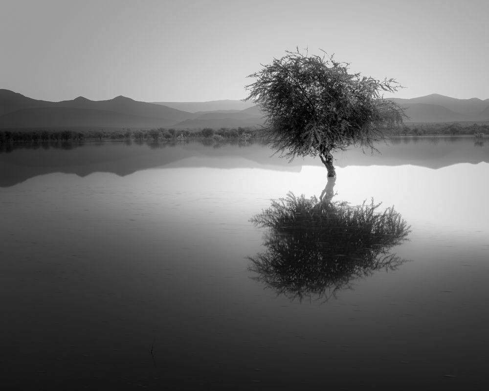 Photograph by Tita Guadalupe Elizondo