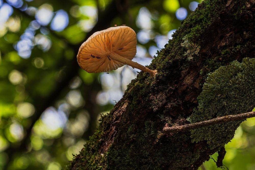 La humedad empapaba todos los rincones