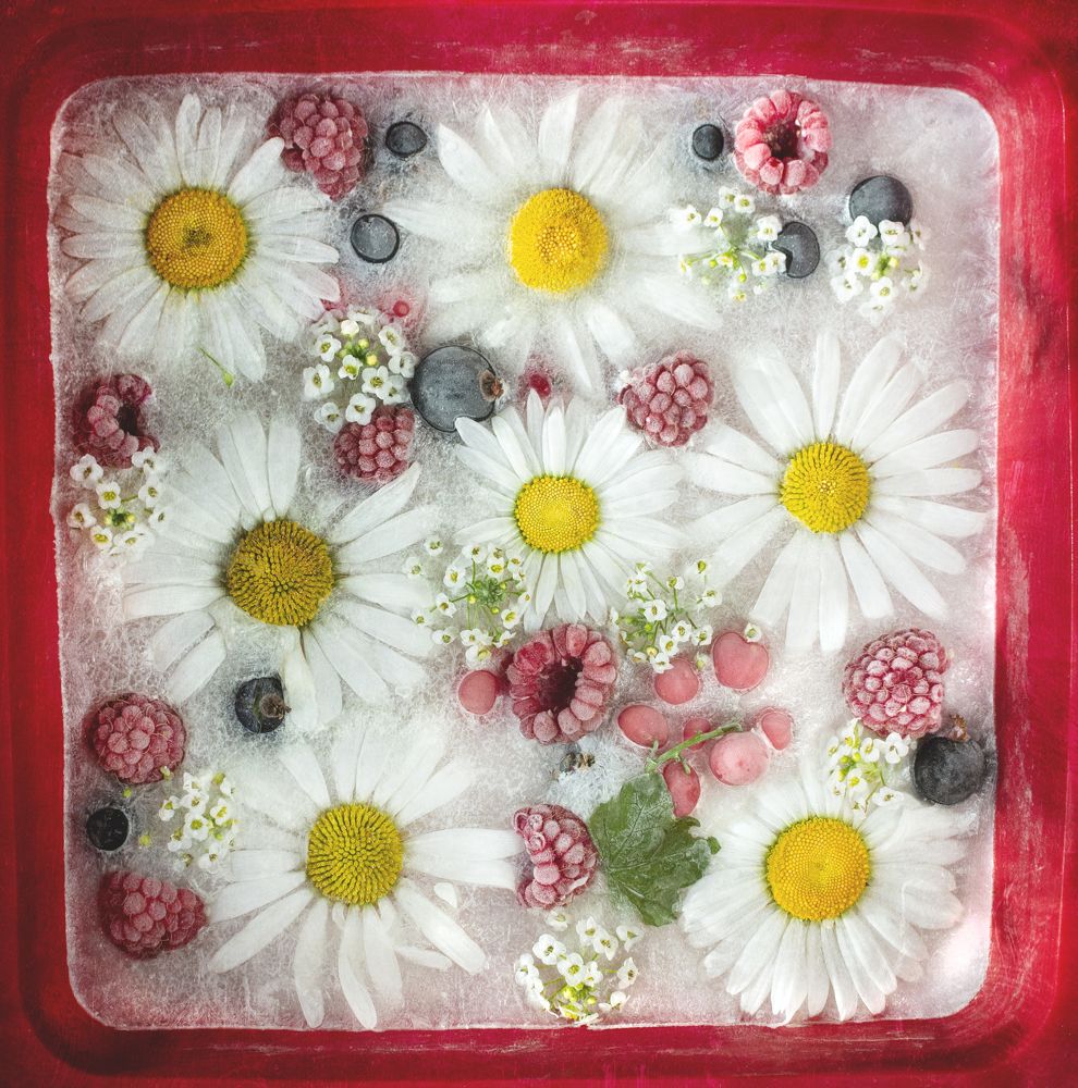 Photograph by Кристина Сотникова