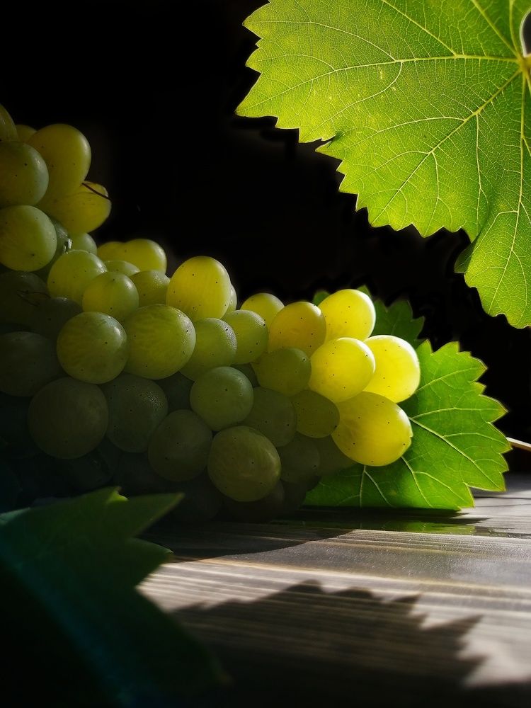 Photograph by Ольга Тимофеева