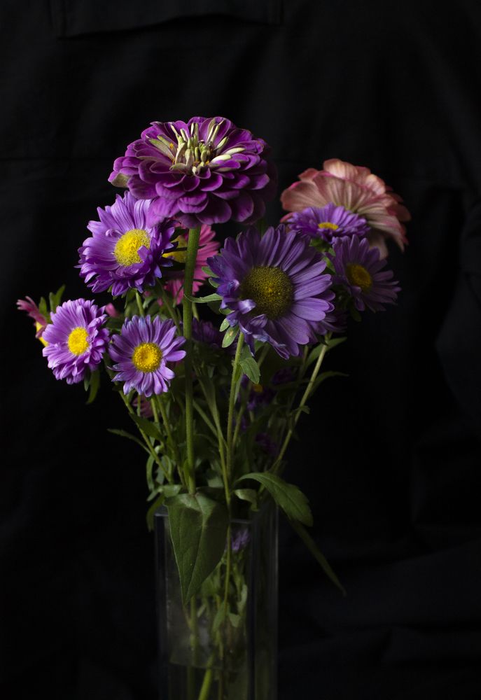 Photograph by Елена Елизарьева