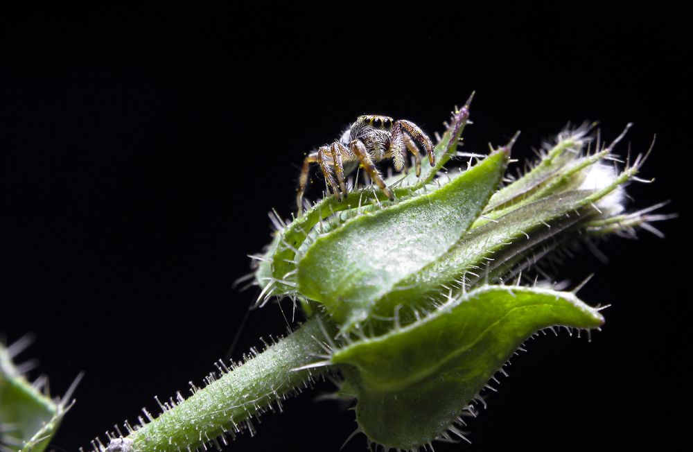 Photograph by Ricardo Sanchez Ruiz